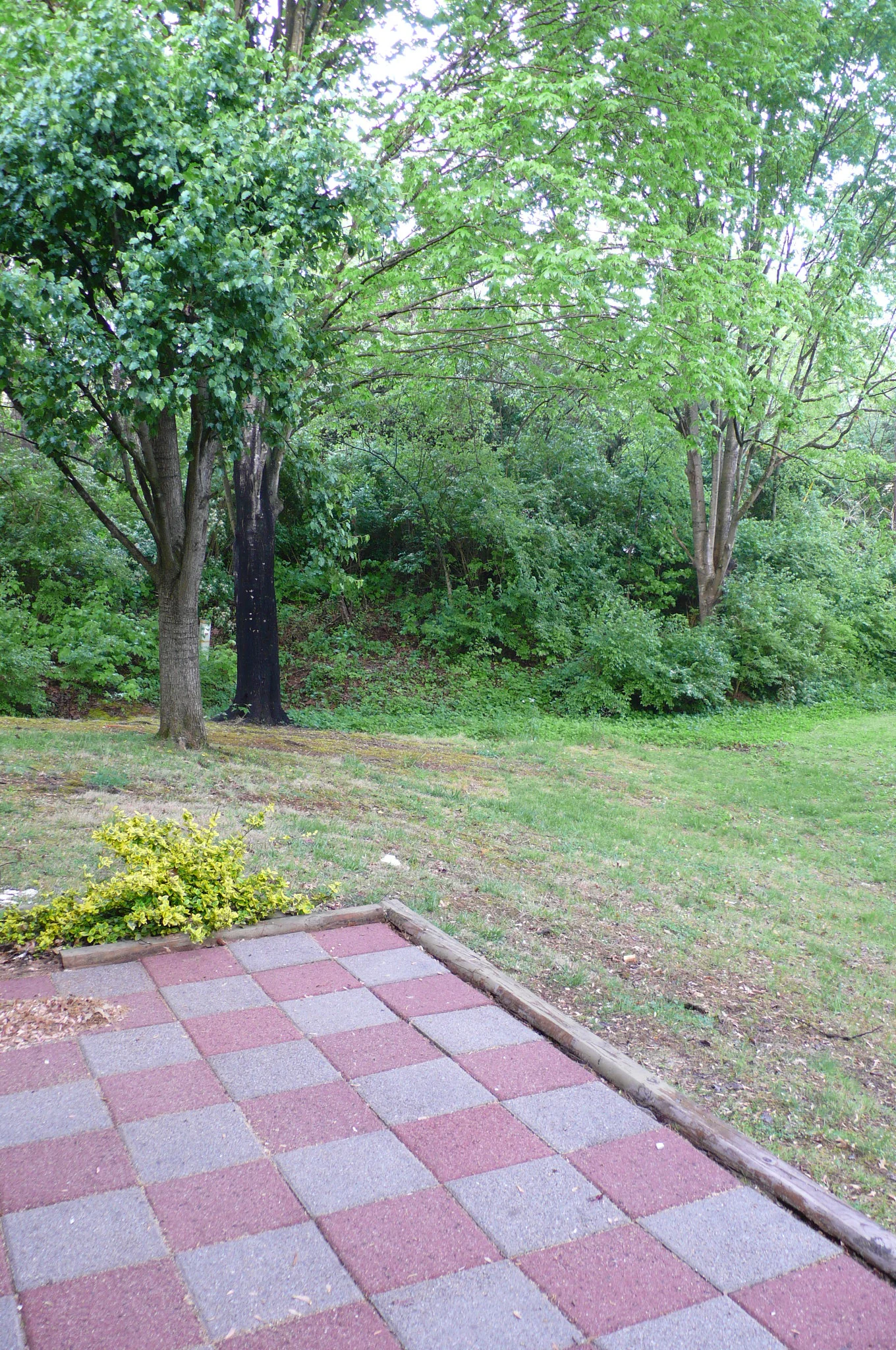 P1050795.JPG