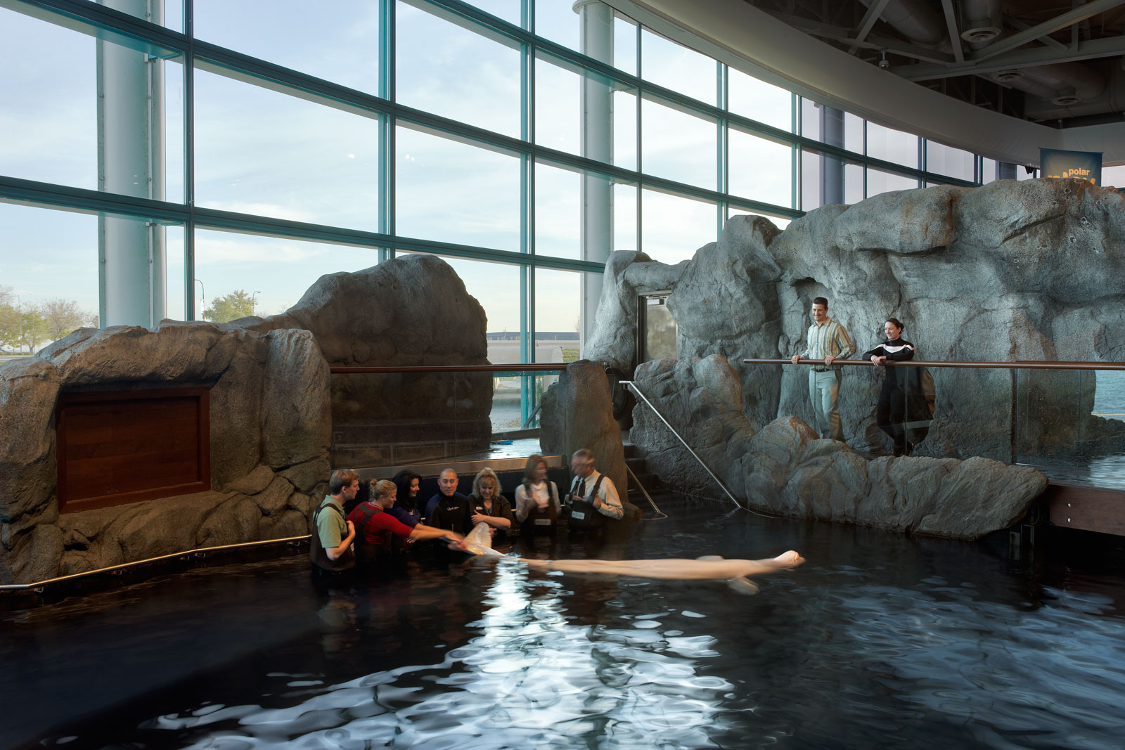 shedd oceanarium shedd oceanarium