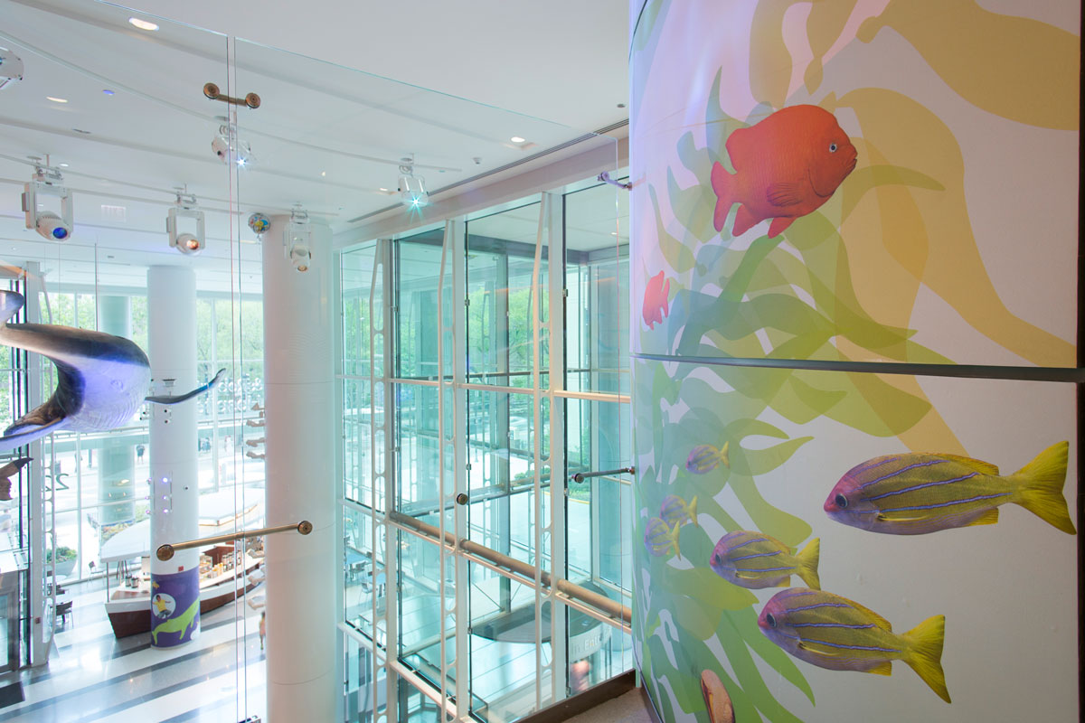 Lurie-Kelp-Forest-Detail.jpg