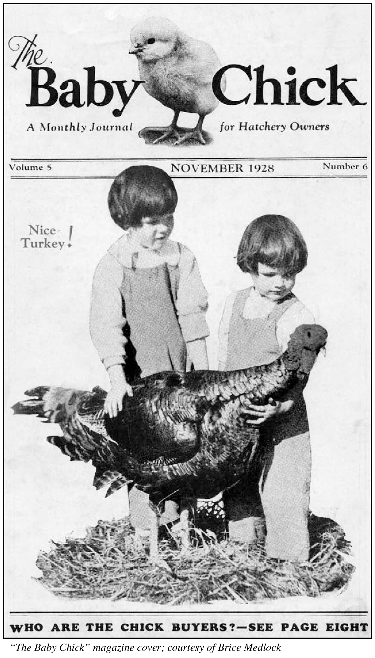 IN State Poultry Archives-7.jpg