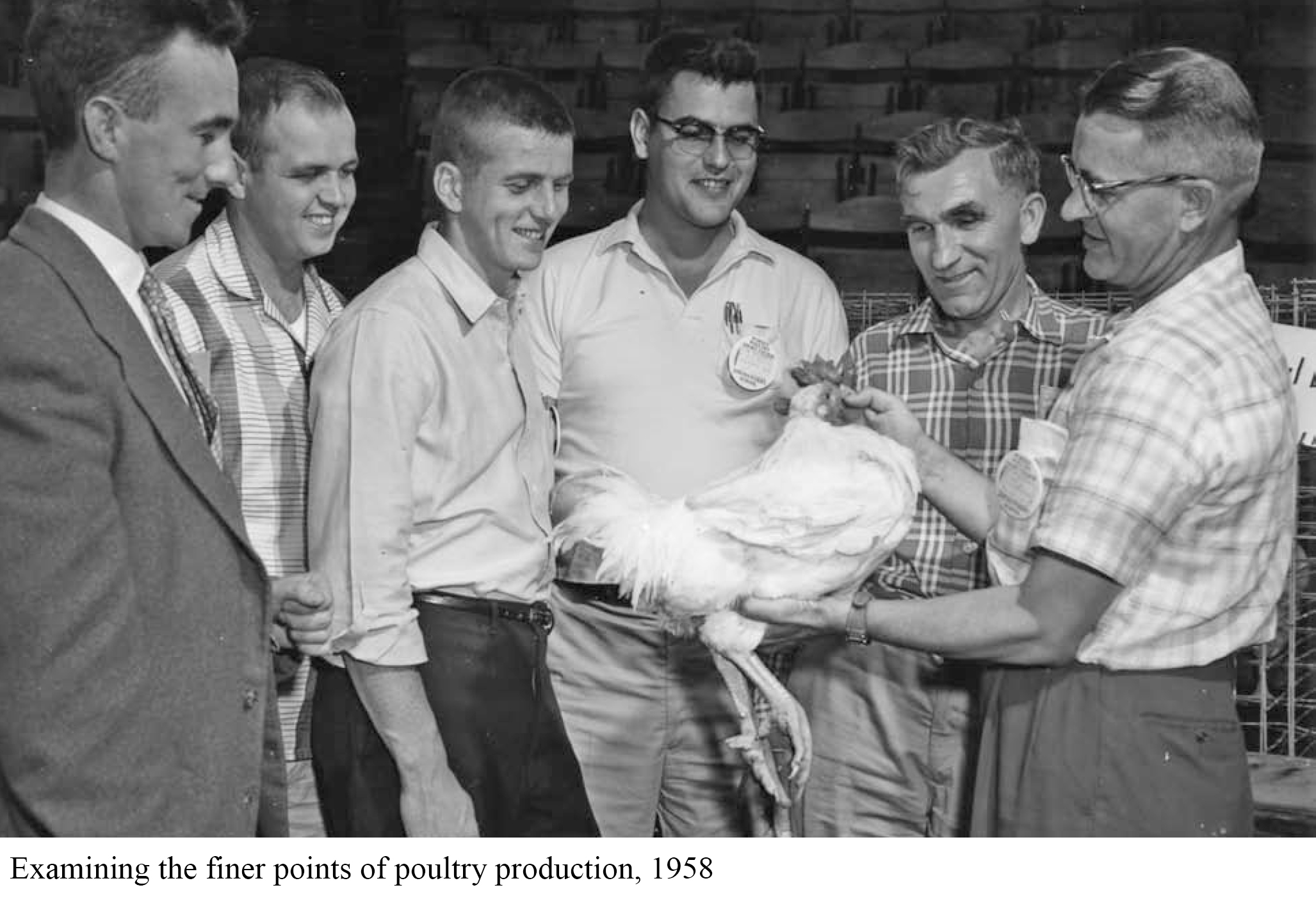 IN State Poultry Archives-6.jpg