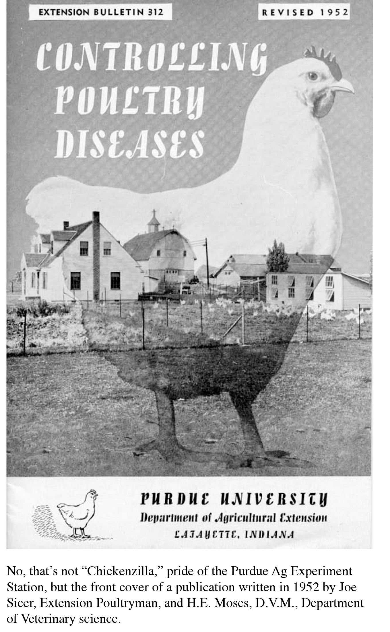 IN State Poultry Archives-23.jpg