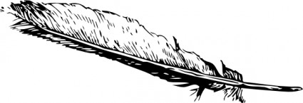 feather_clip_art_6433.jpg