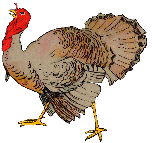 Turkey%2001.gif