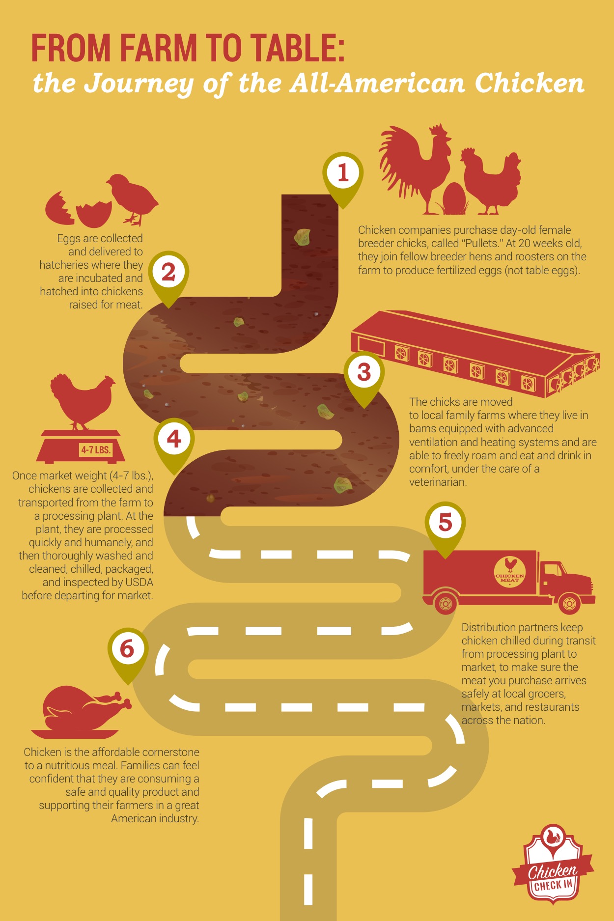 Infographic-Journey-of-All-American-Chicken-v4.jpg