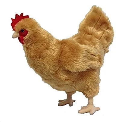 Plush Chicken.jpg