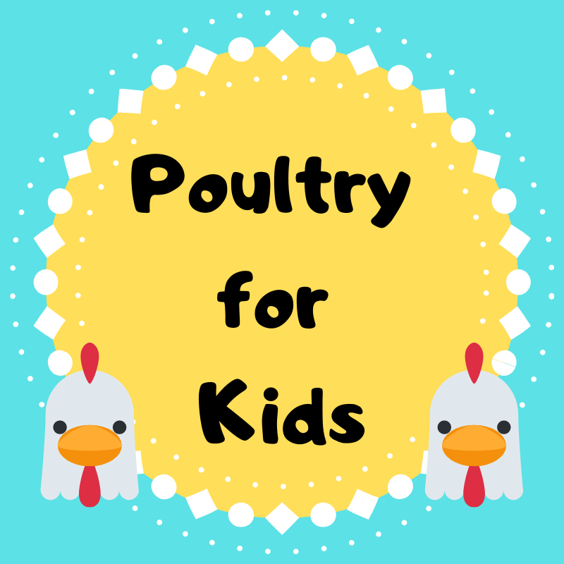 Poultry for Kids (1).png