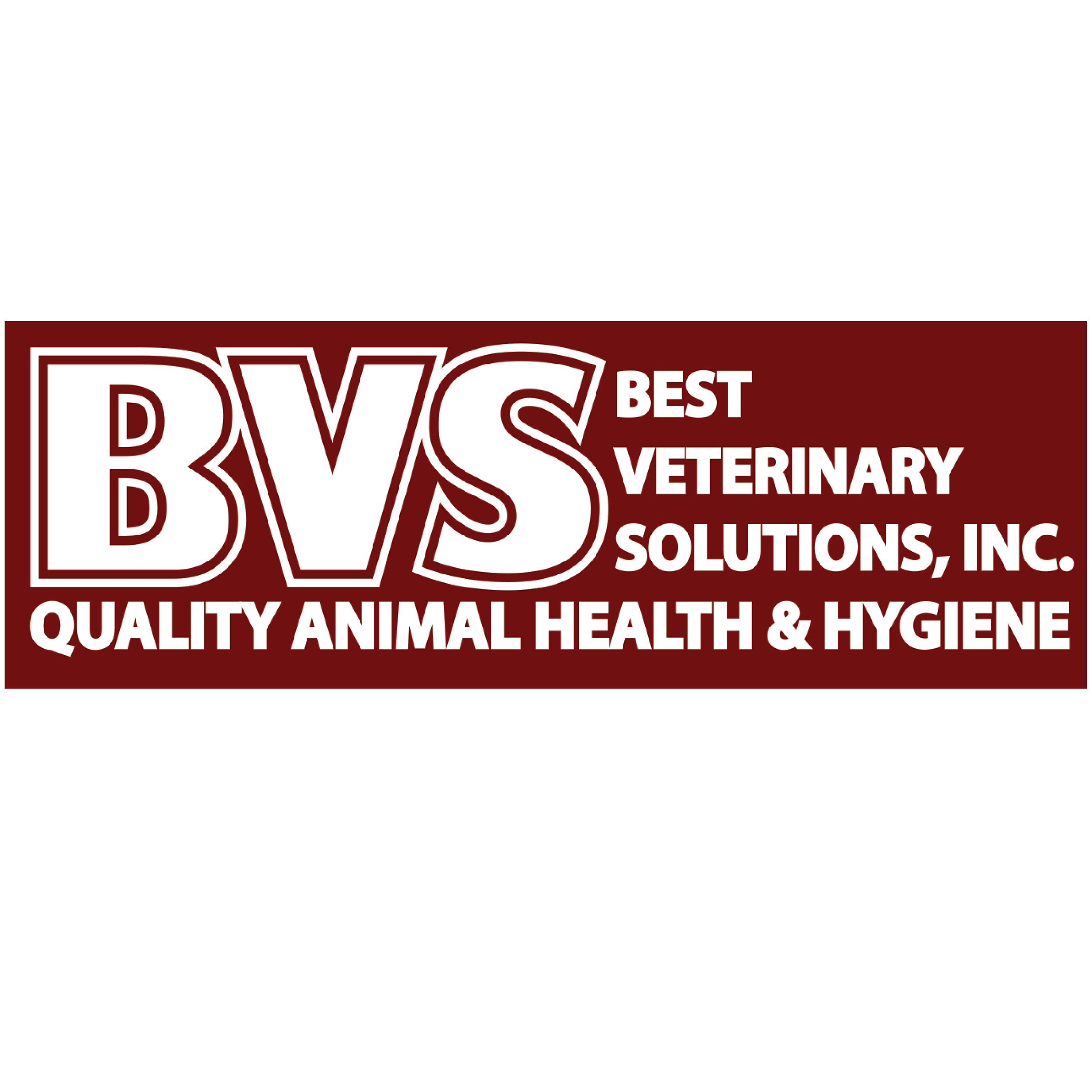 BEST VET SOLUTIONS.png