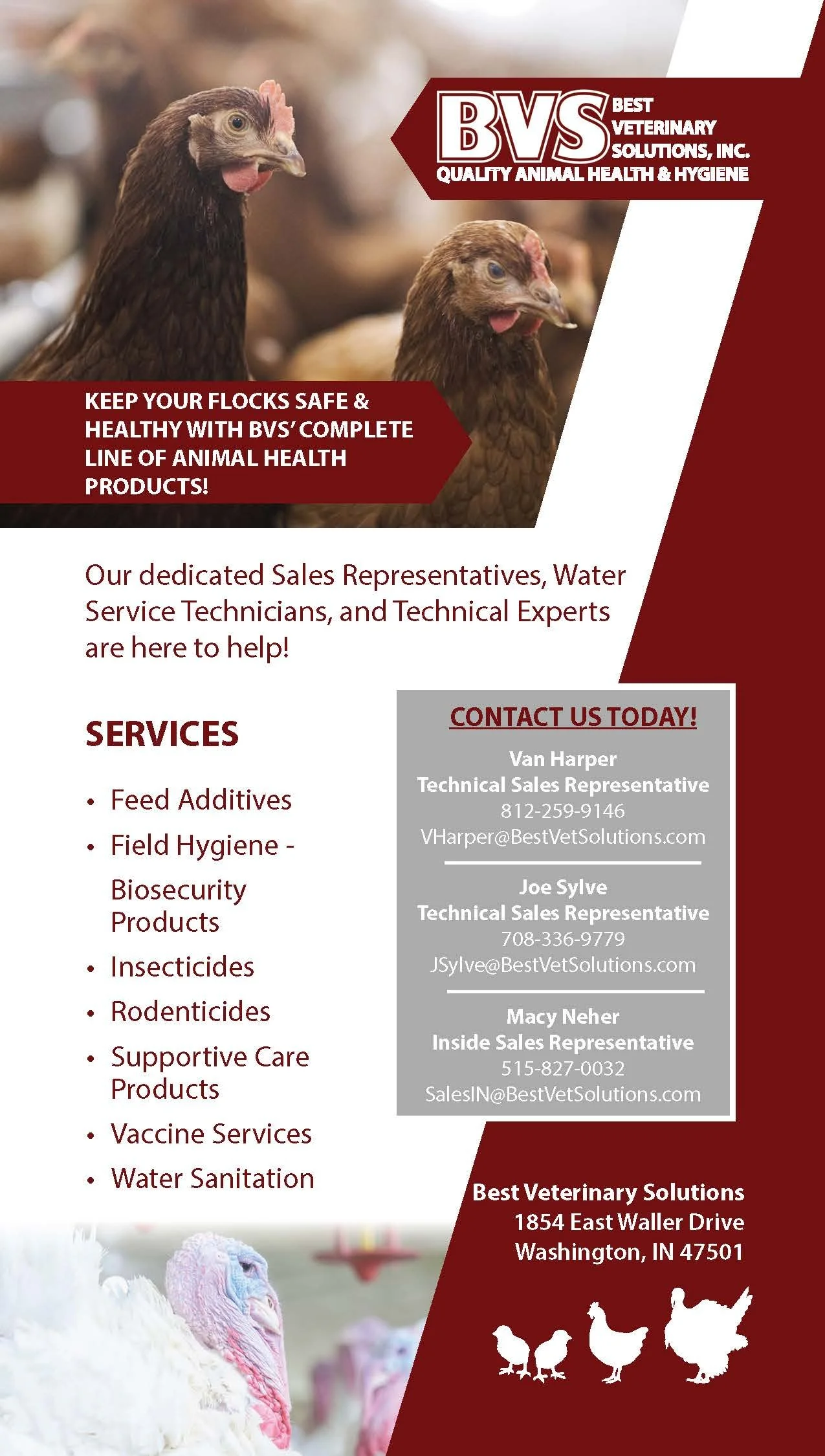 BEST VETERINARY SOLUTIONS.jpg