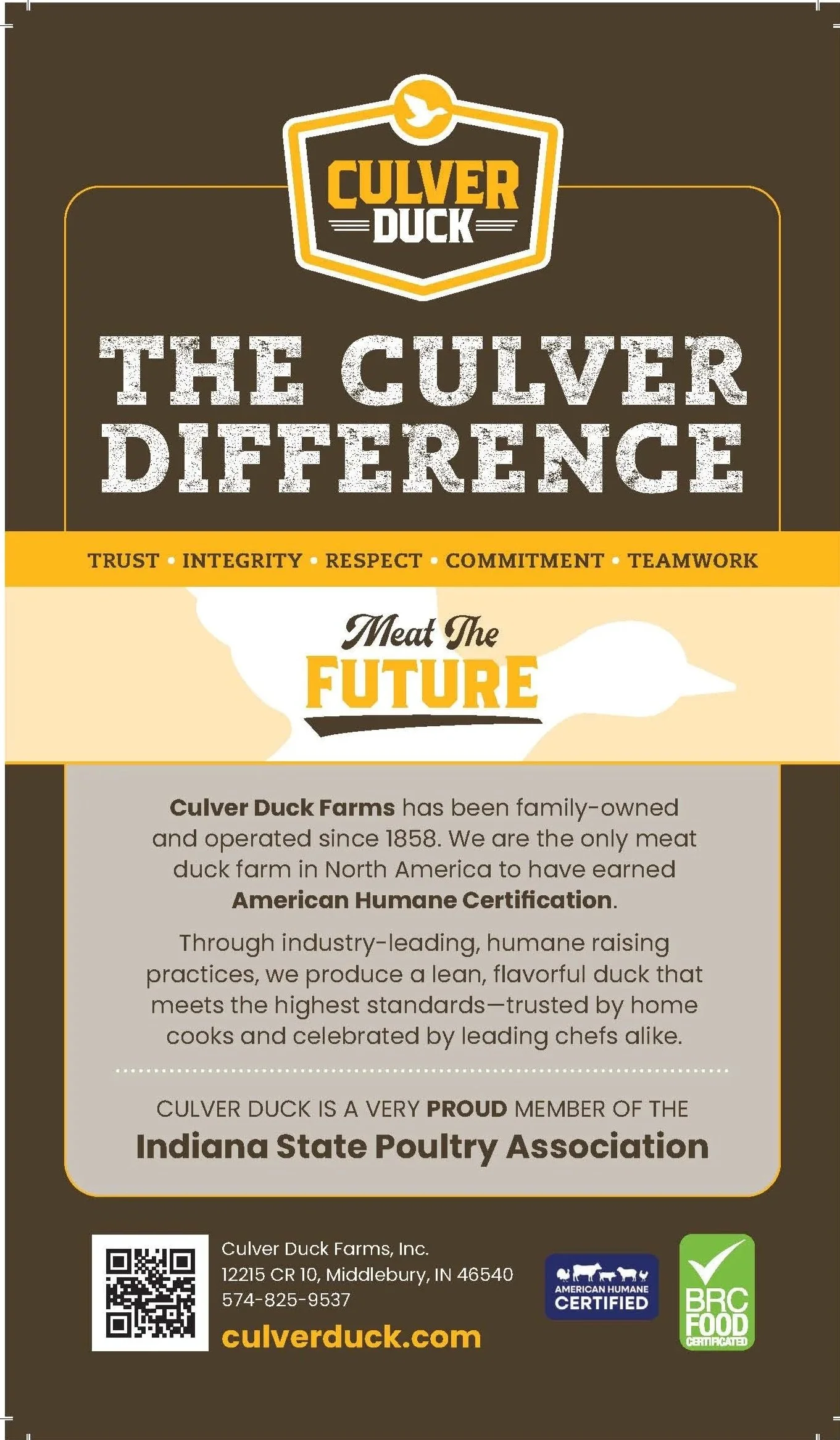 CULVER+DUCK.jpg