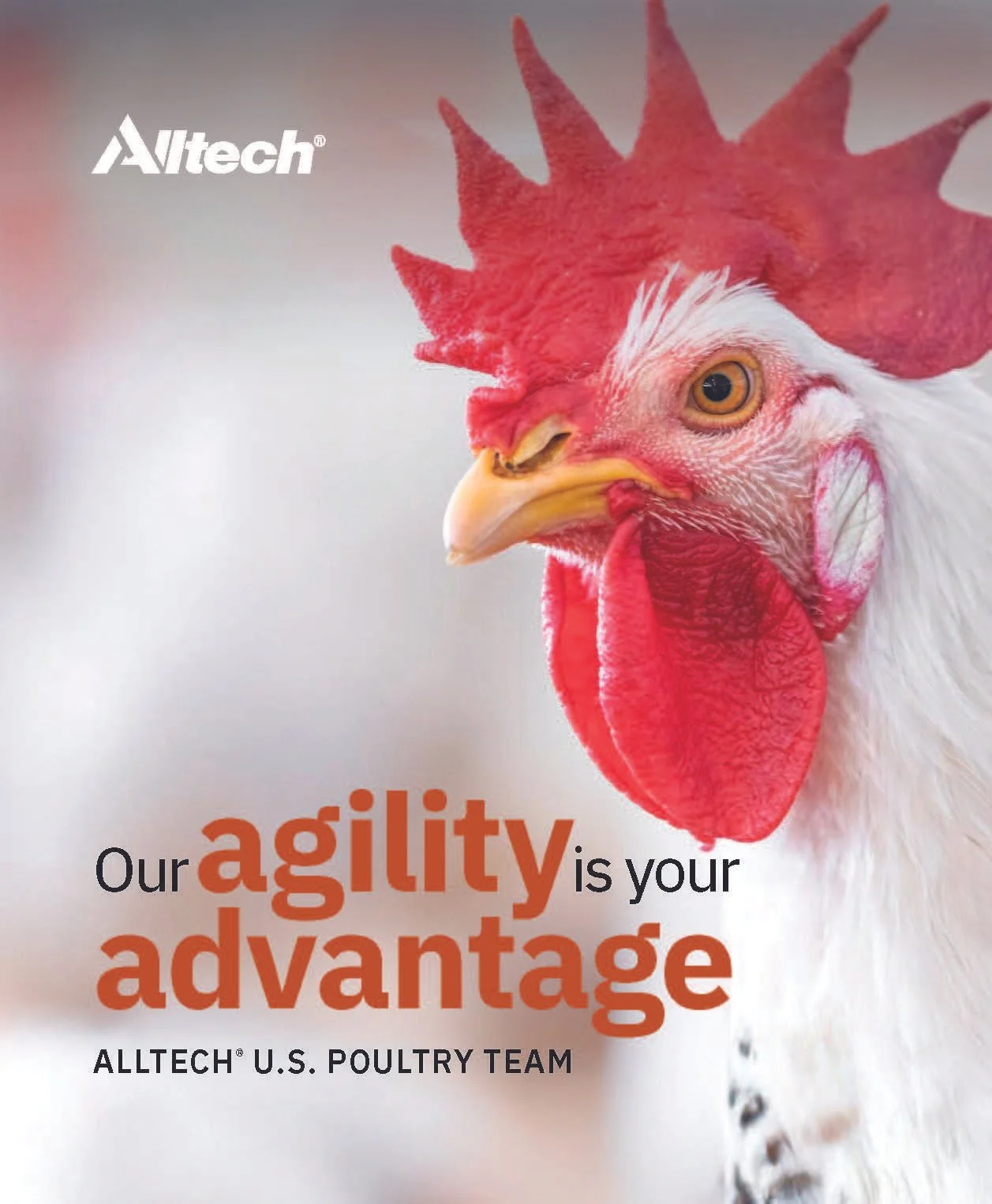 ALLTECH AD.jpg