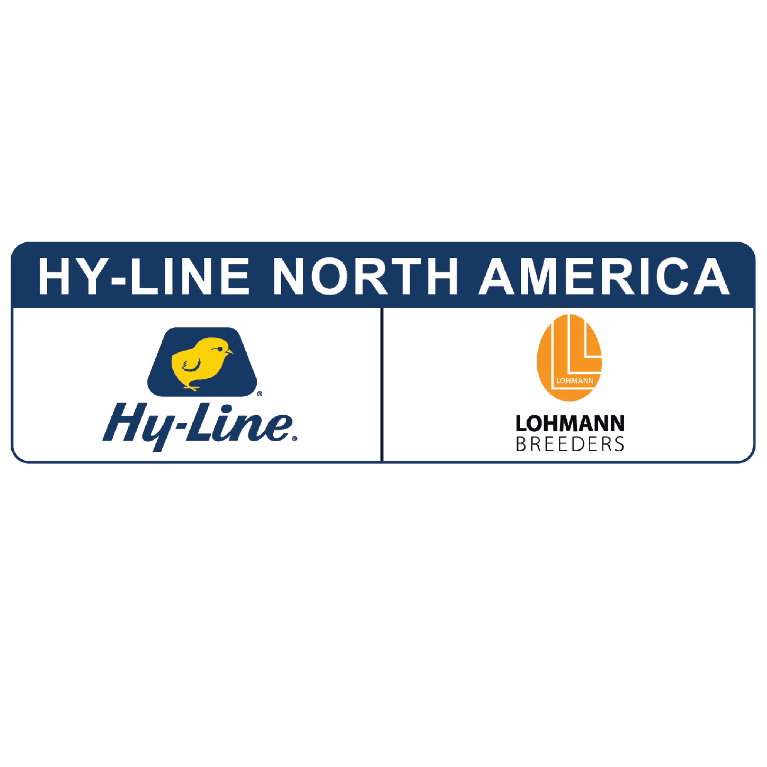 HYLINE NORTH AMERICA.png