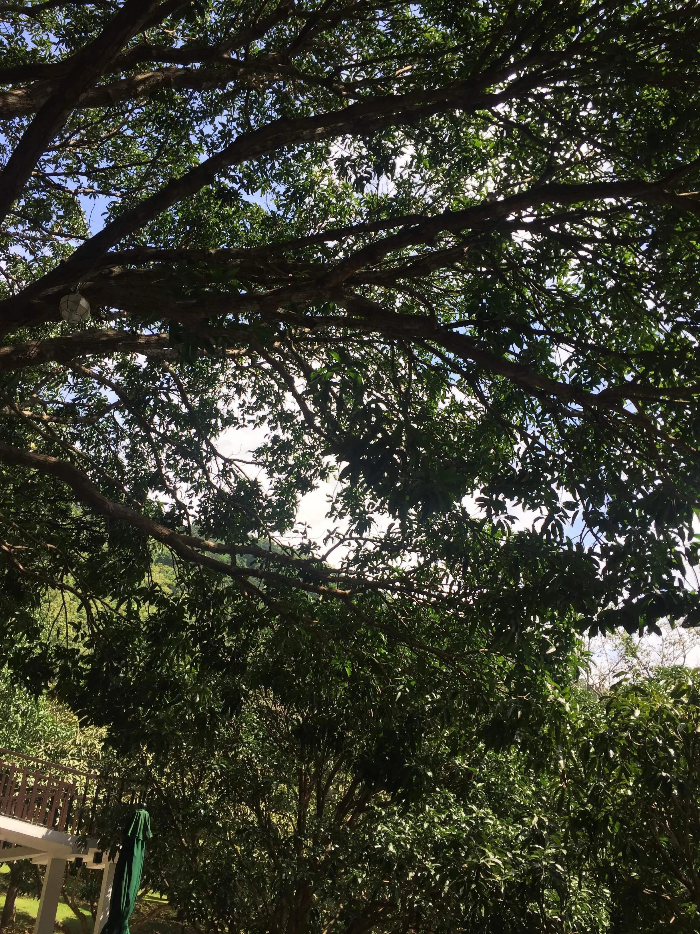 Lord, help me to see