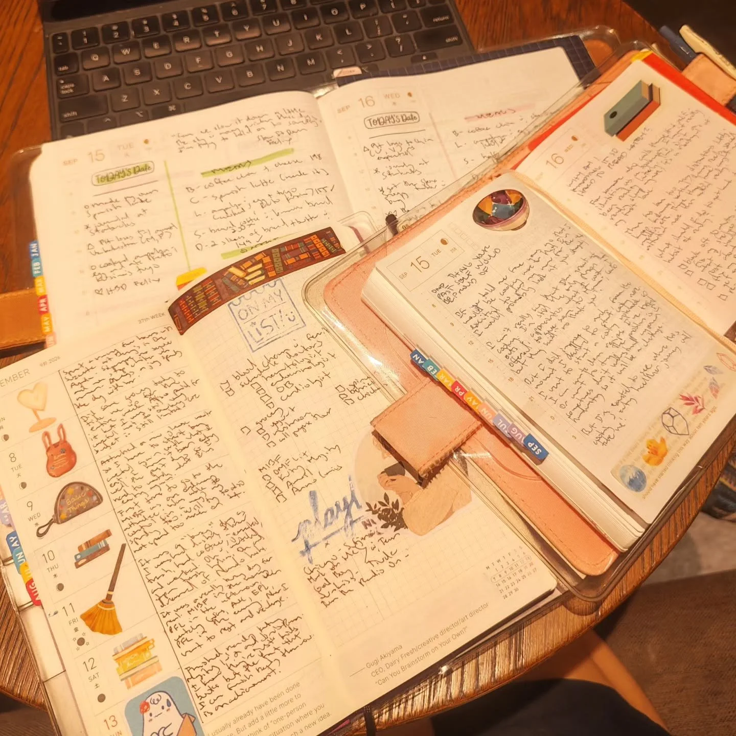 262/365

Here are the other three daily journals that I use. I know, I know I have too many, but as I said before, I'm a maximalist and each of them serve a purpose in my "system". Again, you don't need as many journals (a notebook and pen 