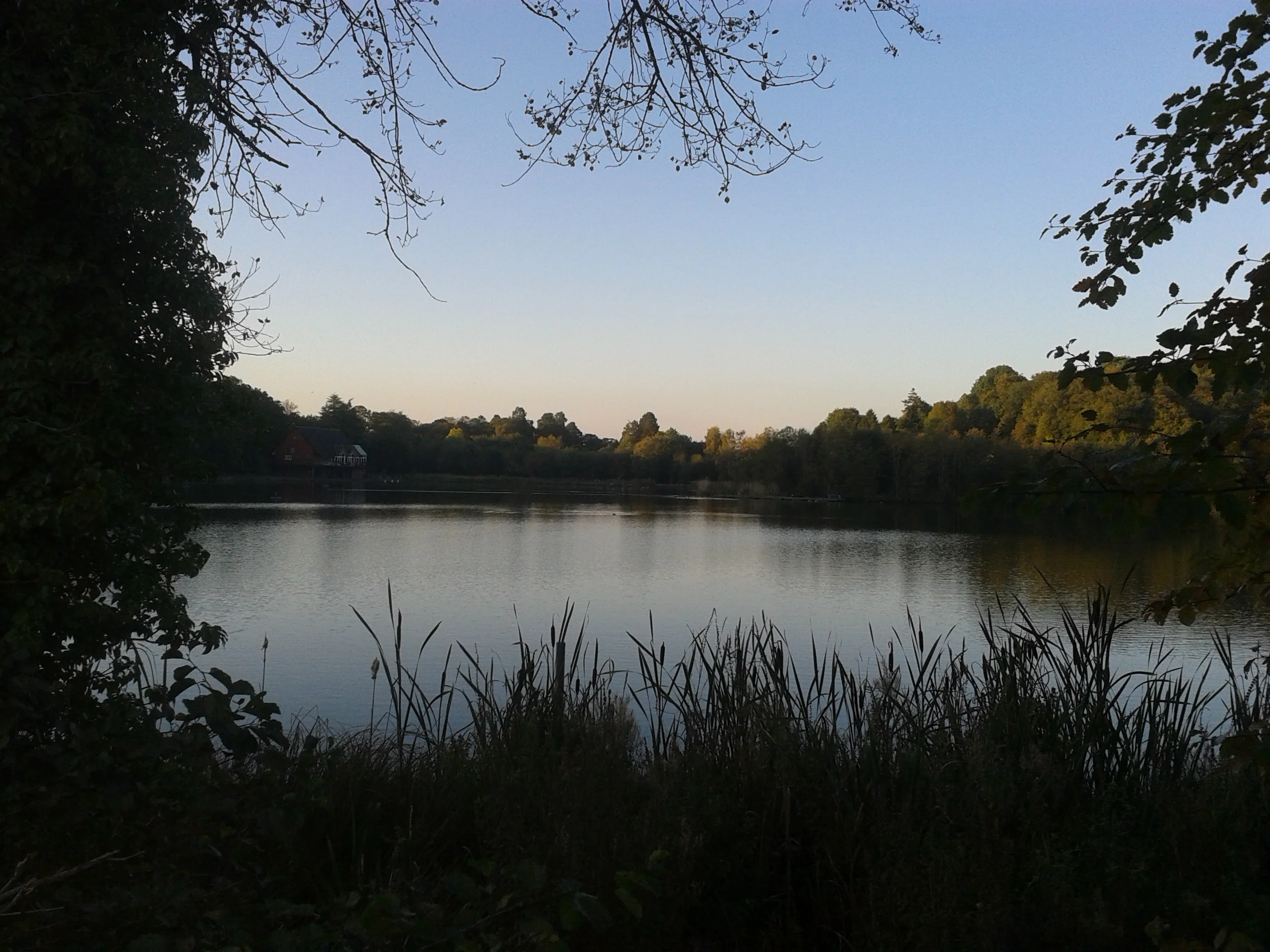 Lovely autumn evenings