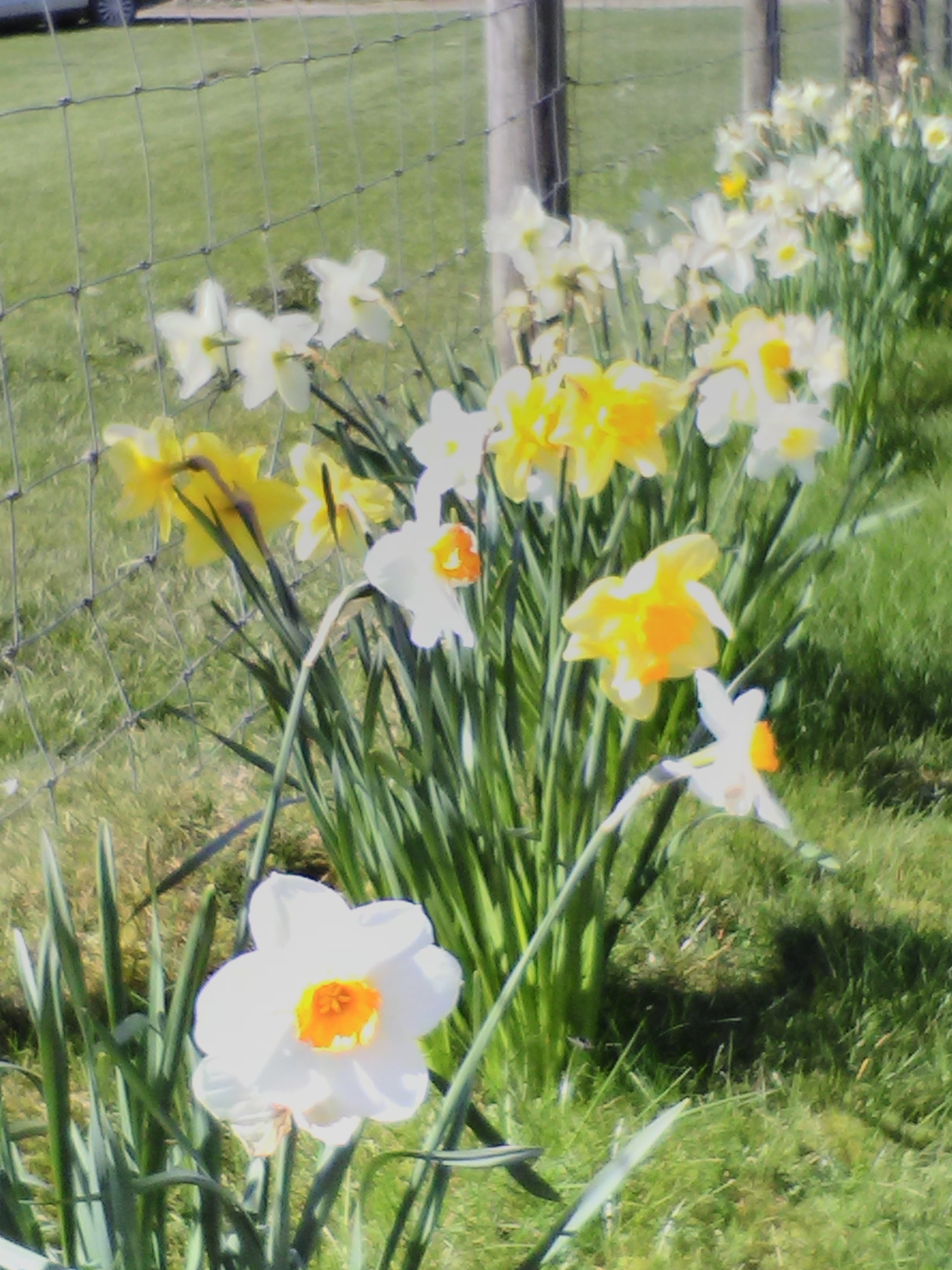 We ordered a little sunshine.....