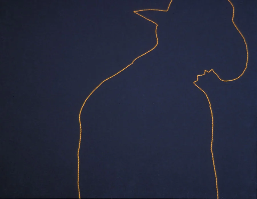 Line #2 Machine stitched fabric on canvas