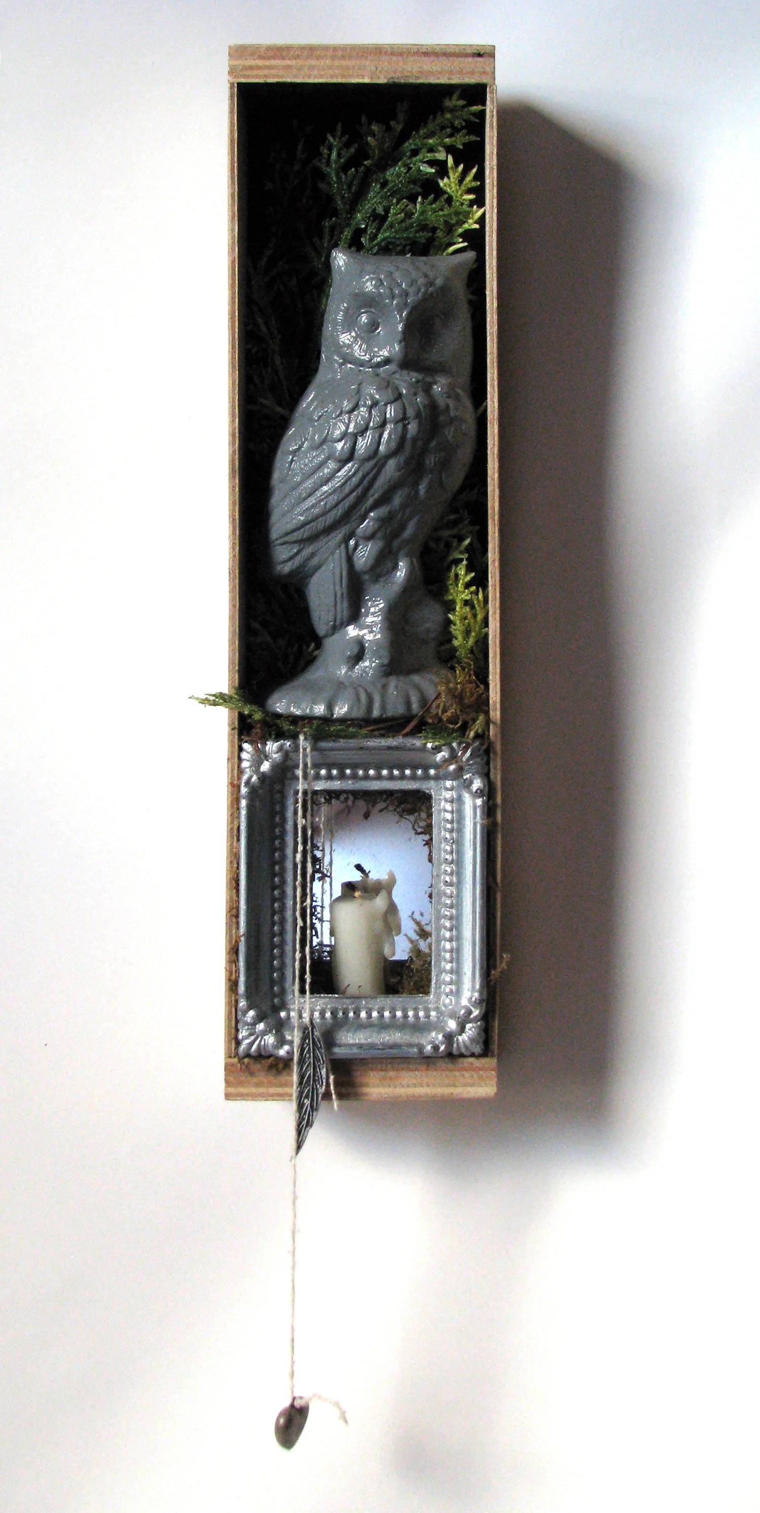 Gray Owl