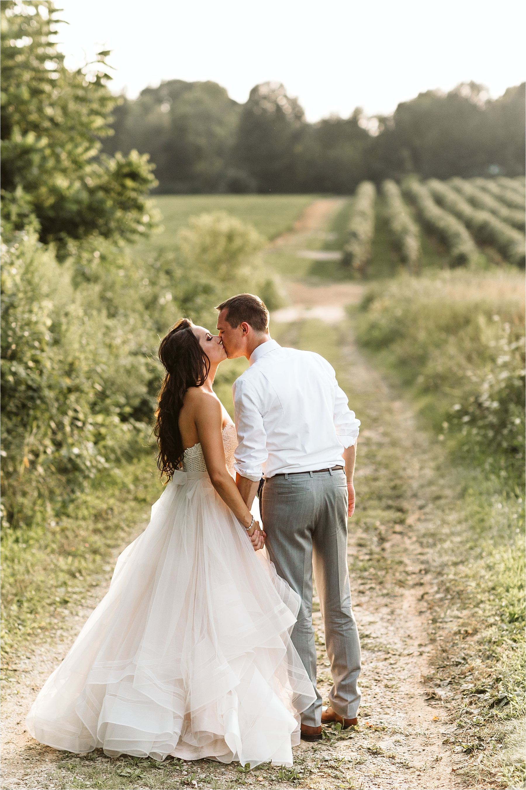 Hidden Vineyard Michigan Wedding_0187.jpg