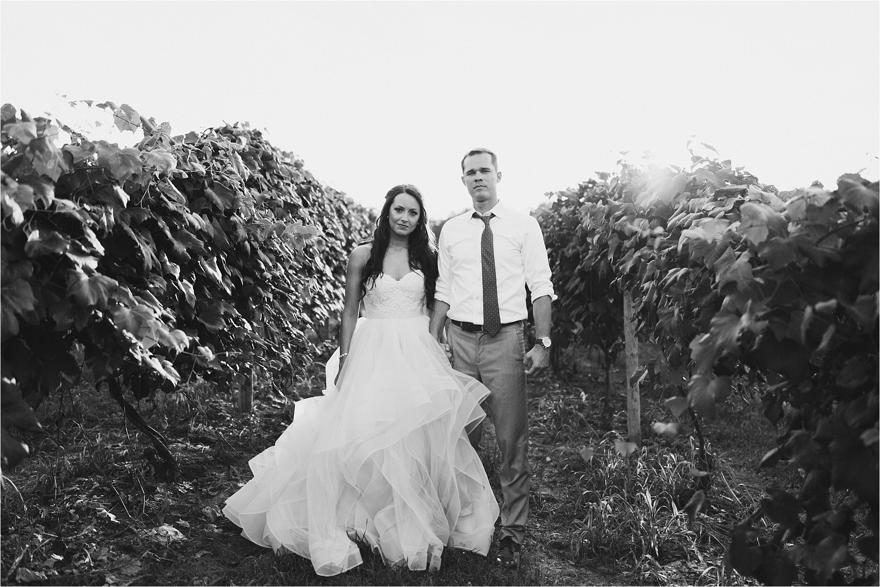 Hidden Vineyard Michigan Wedding_0191.jpg