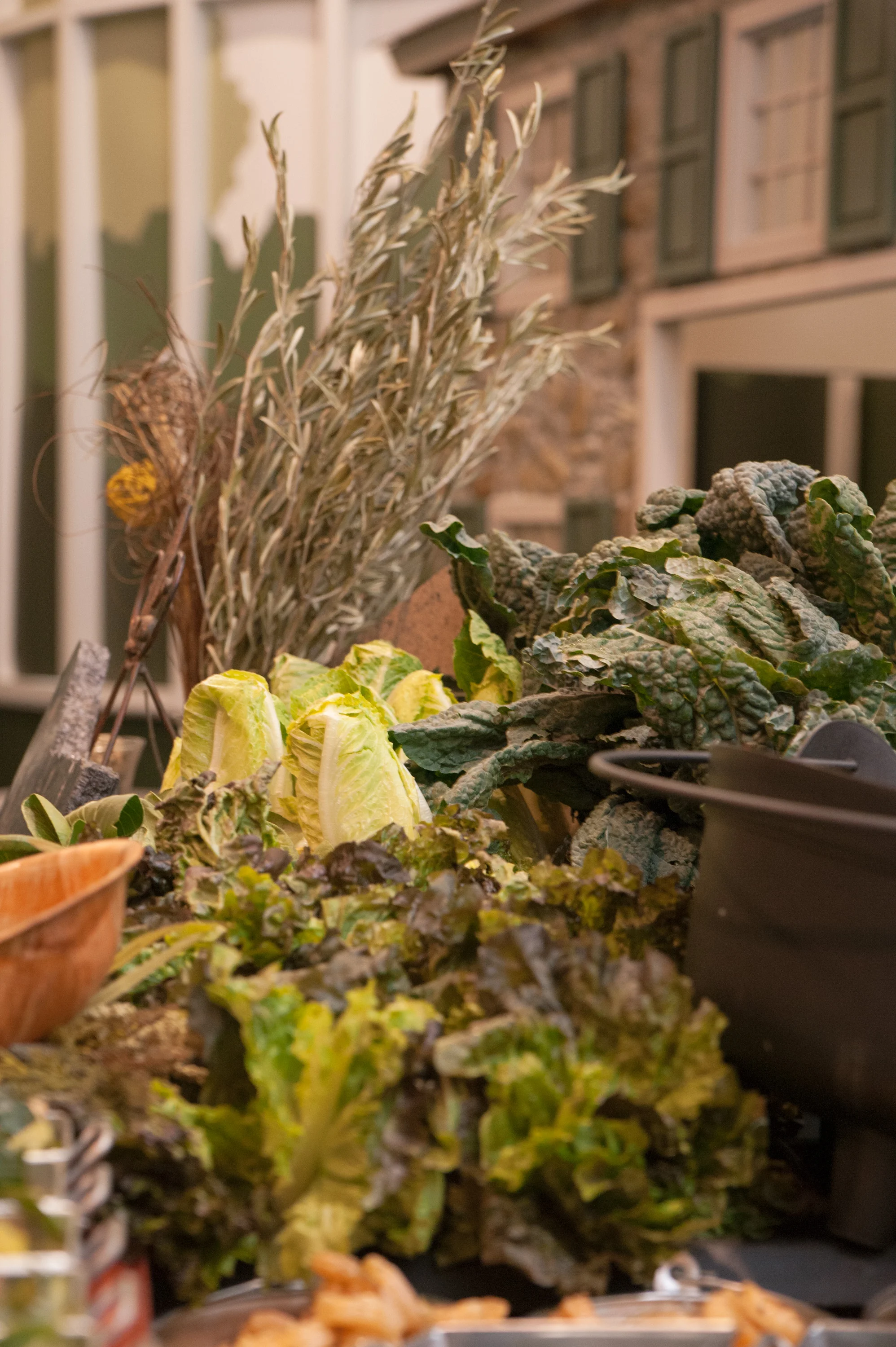 Chef Rob_Charlotte History Museum-24.jpg