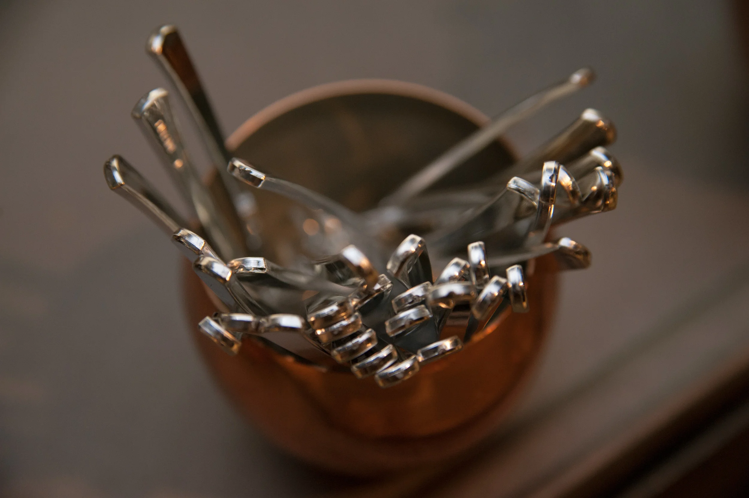Chef Rob_Charlotte History Museum-76.jpg