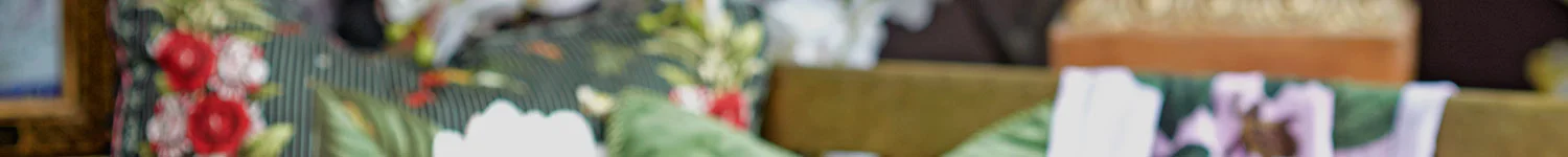 PageBanner2-1500x150.jpg