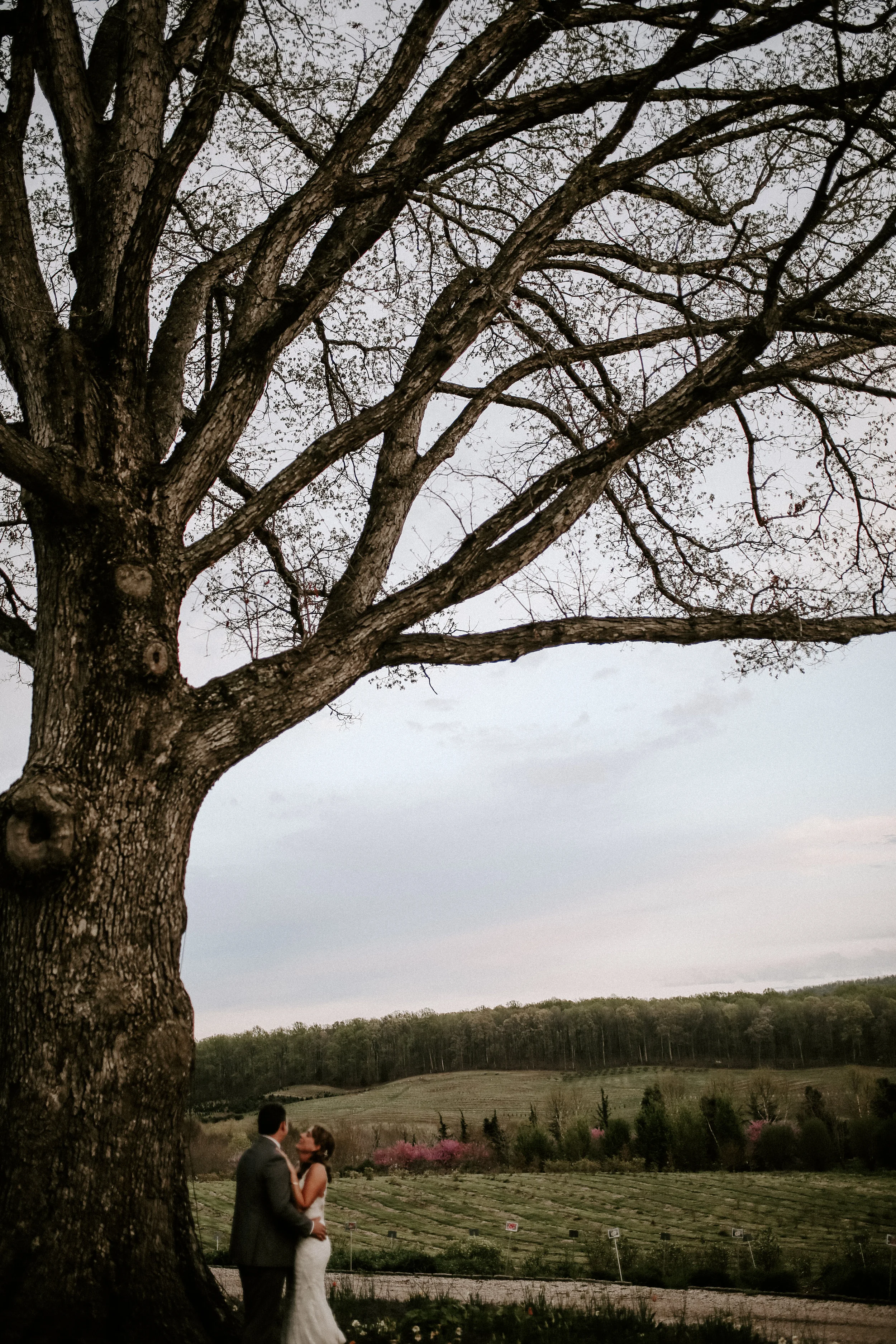 TheGreens_Married_2019-546.jpg