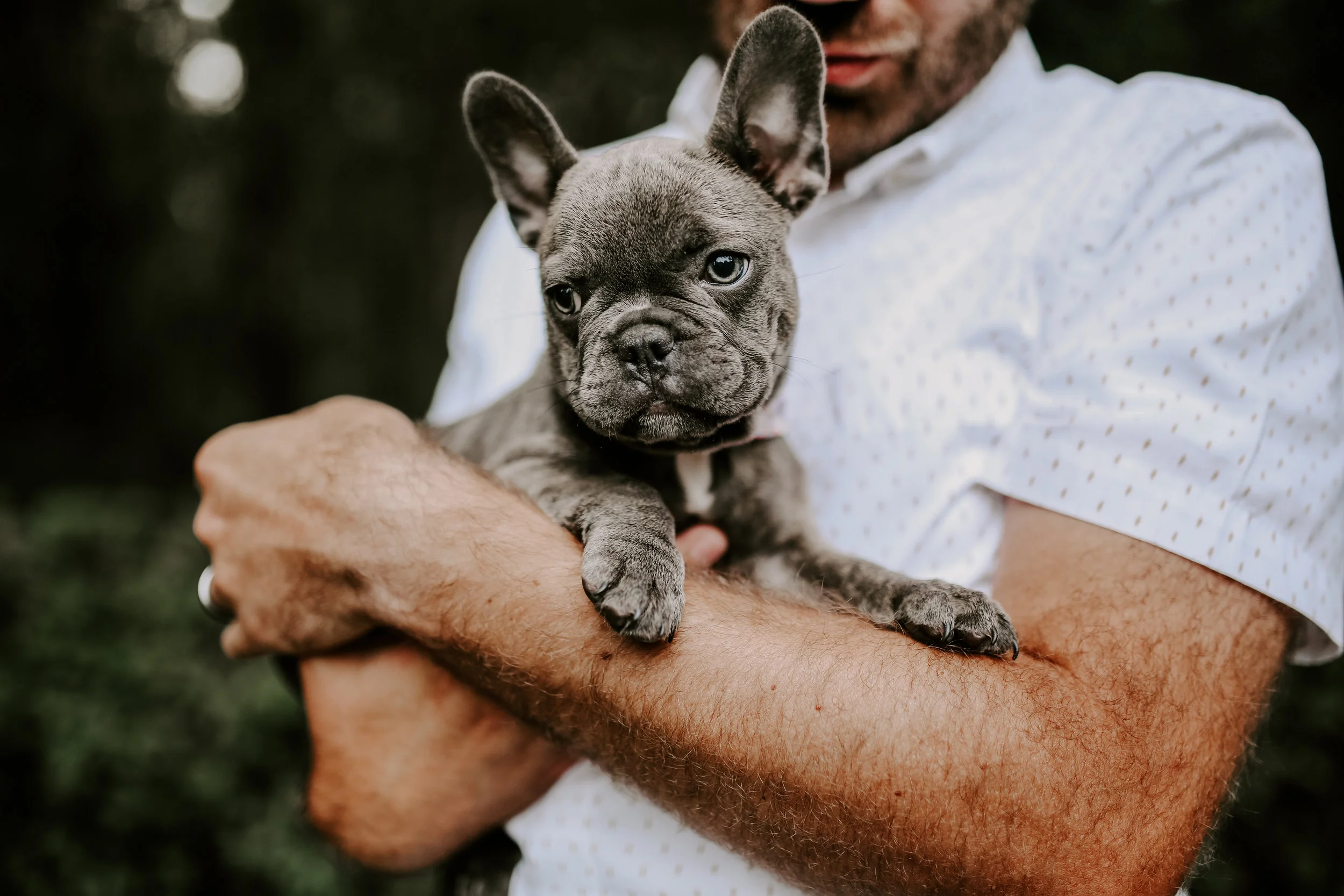 Bluberry|TheFrenchie_2019-55.jpg