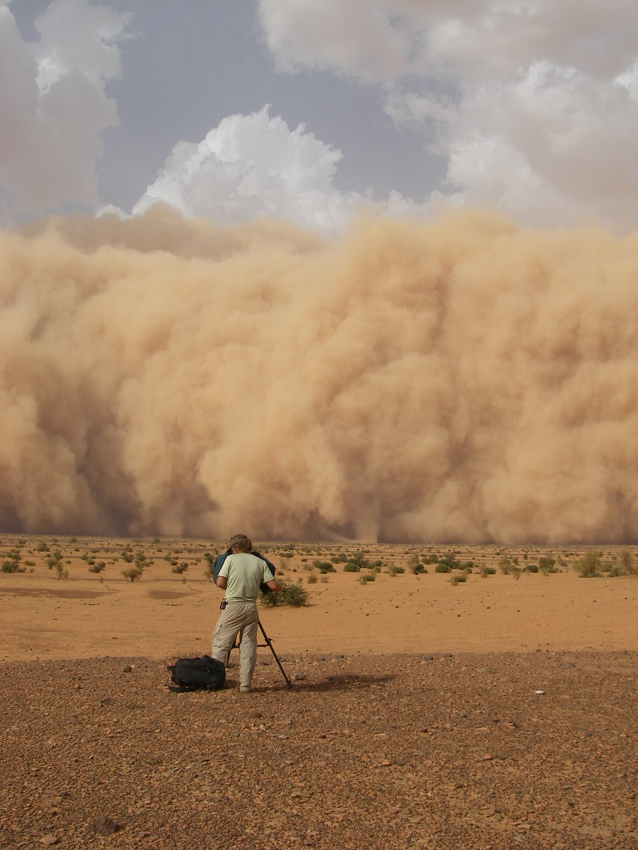 Bob Filimg Sandstorm.jpg