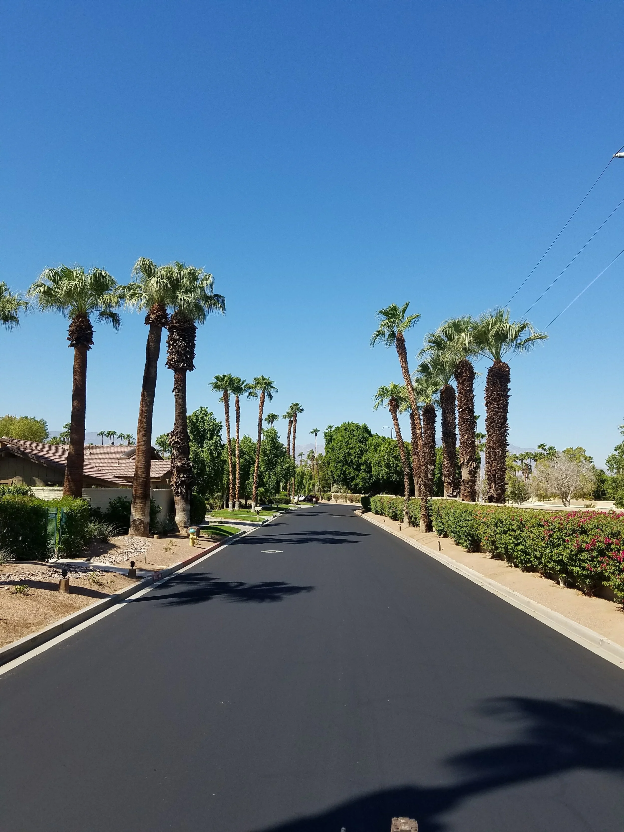 hoa street.jpg