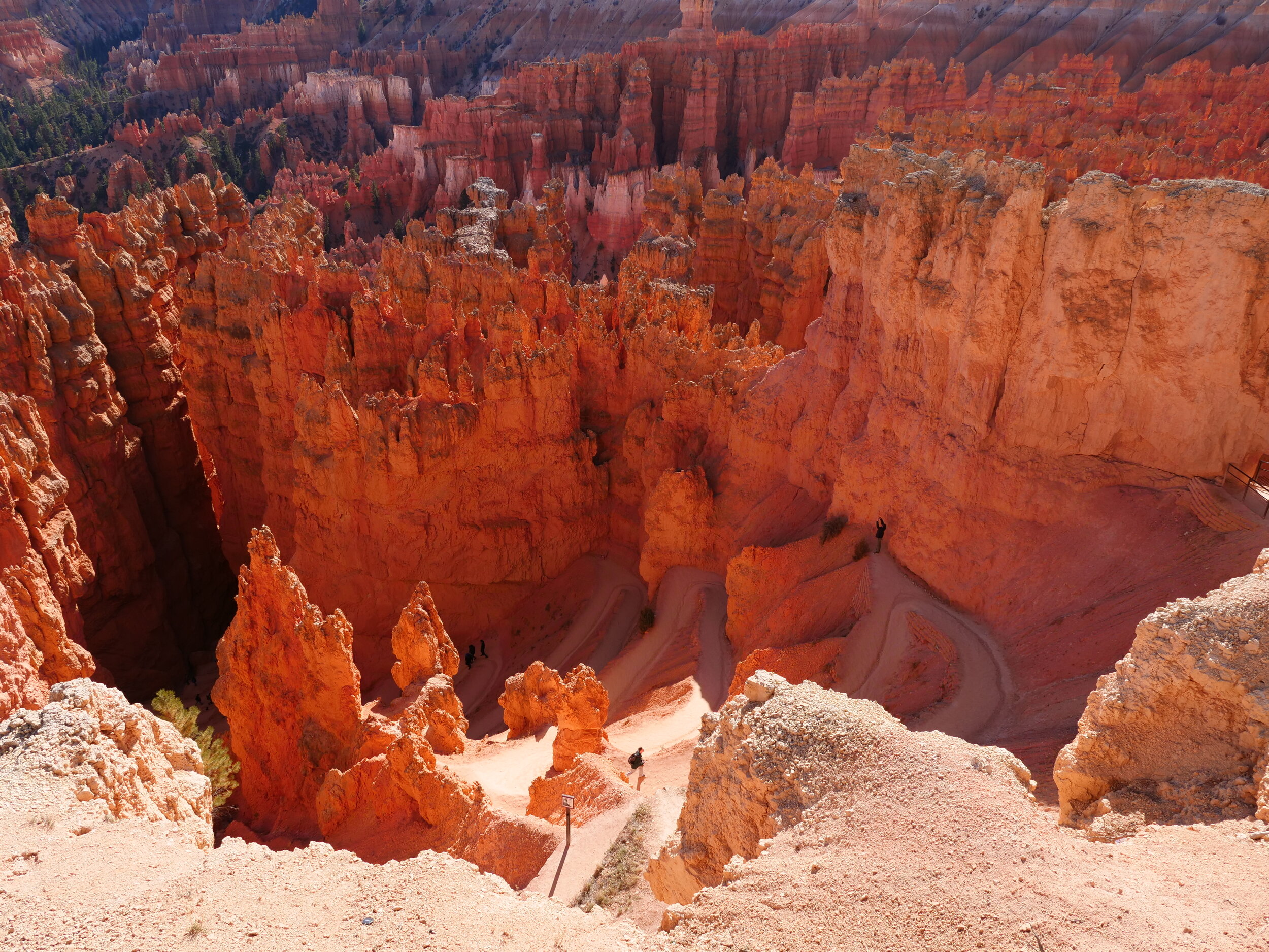 grand canyon bryce canyon zion national park tours