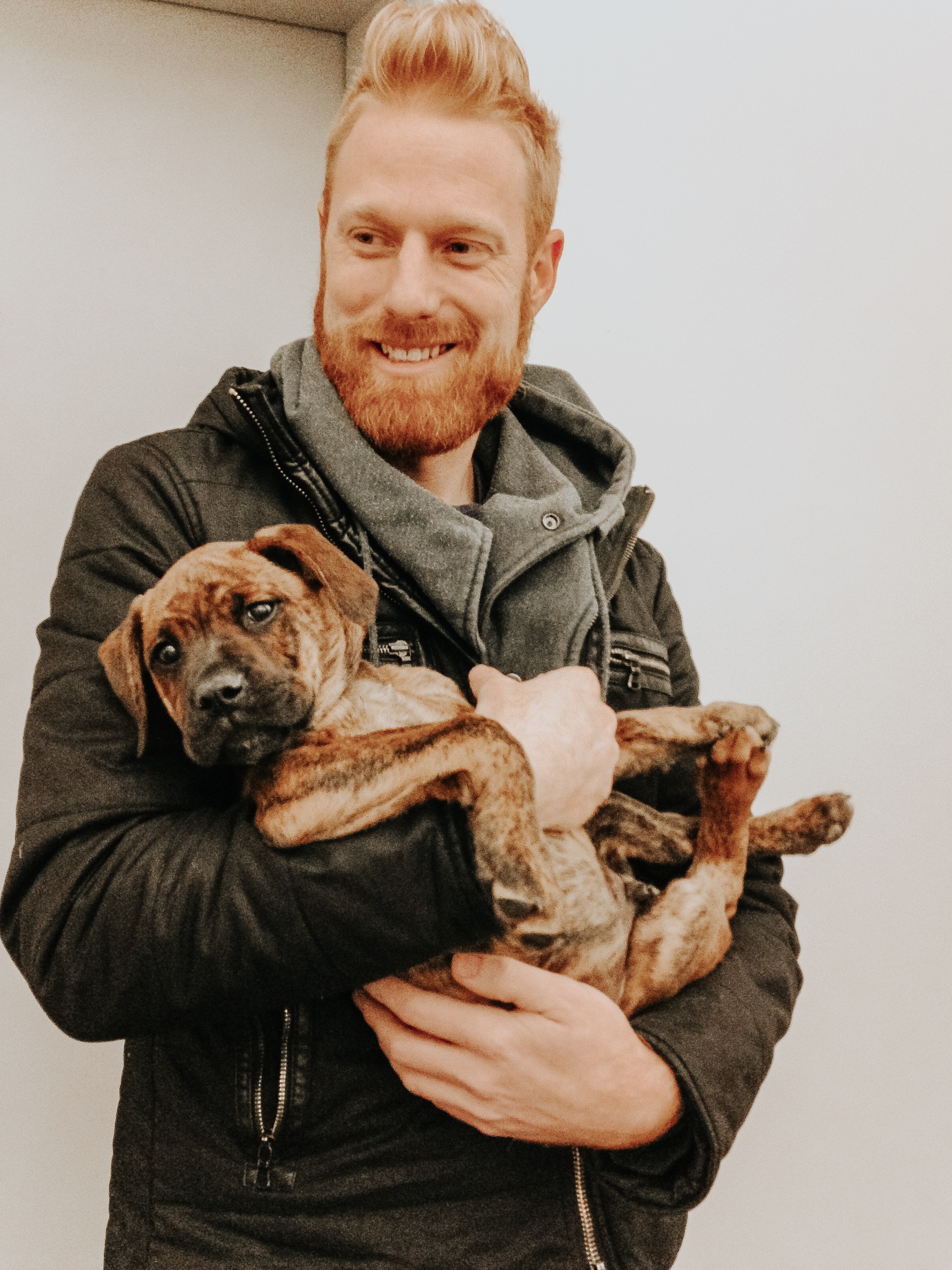 Nick-Faehnle-rescue-boxer.jpg