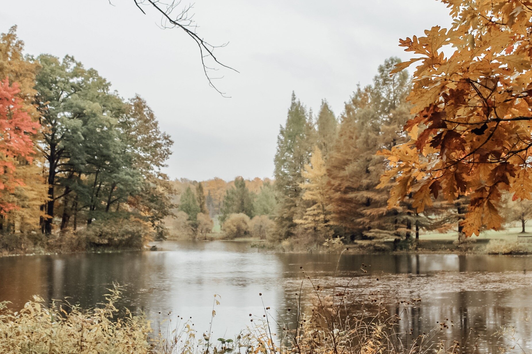 Fall views at Holden Arboretum