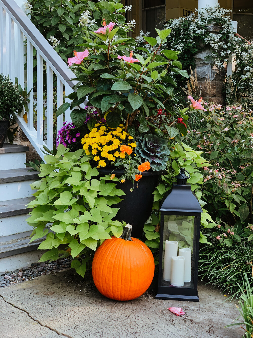 Styling Outdoor Planters for Halloween — Bombay Jewelry