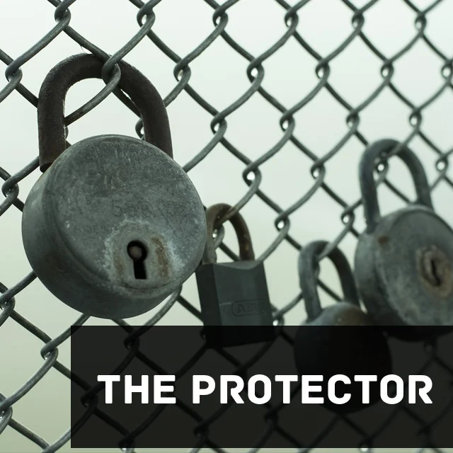 theprotector-instagram.jpg