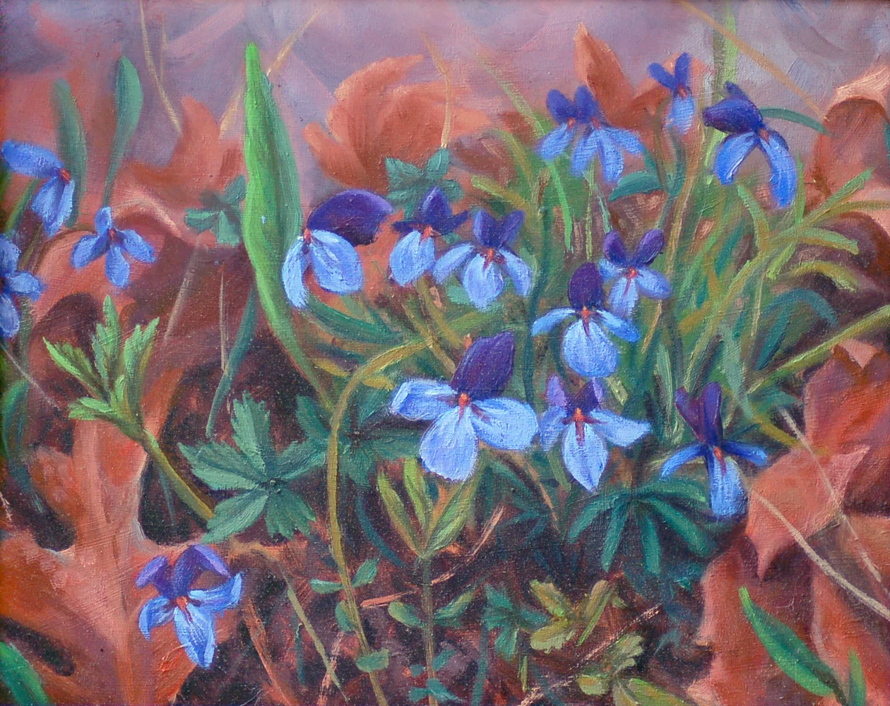 Violets_0006.jpg