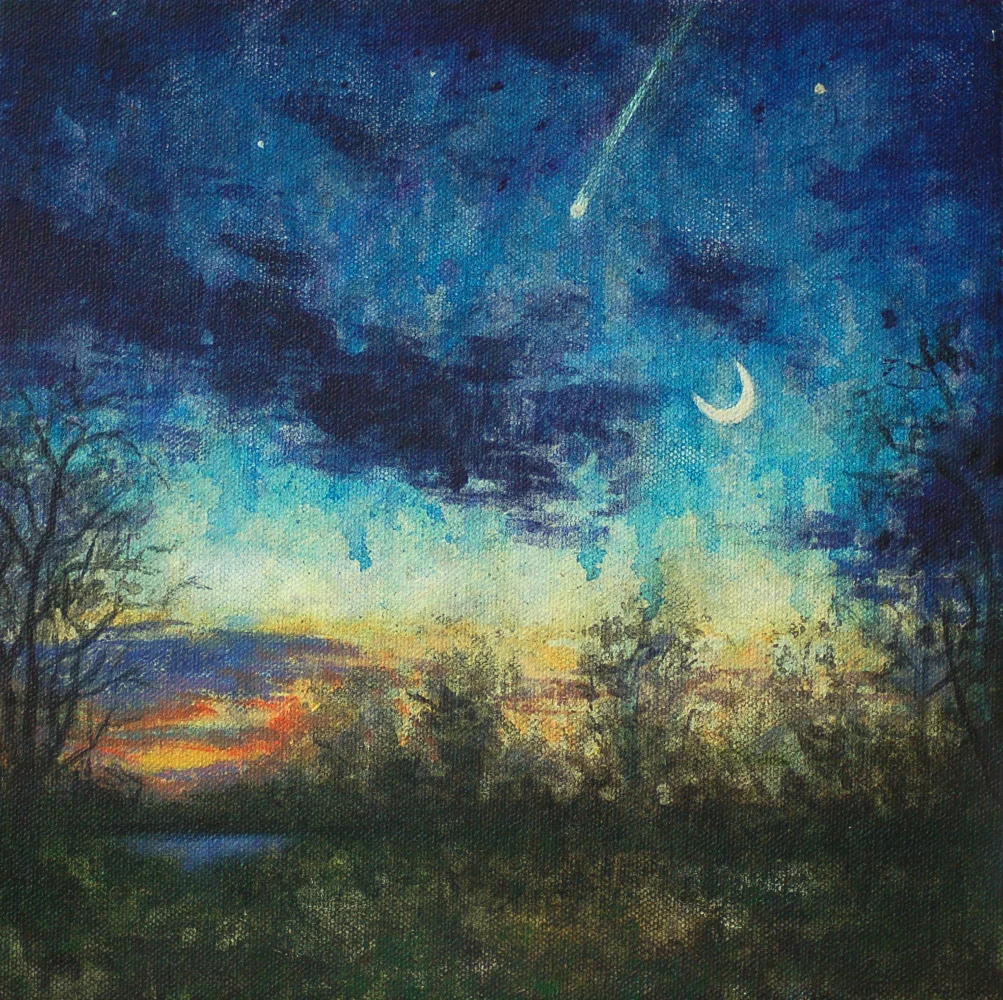 Leonid Meteor