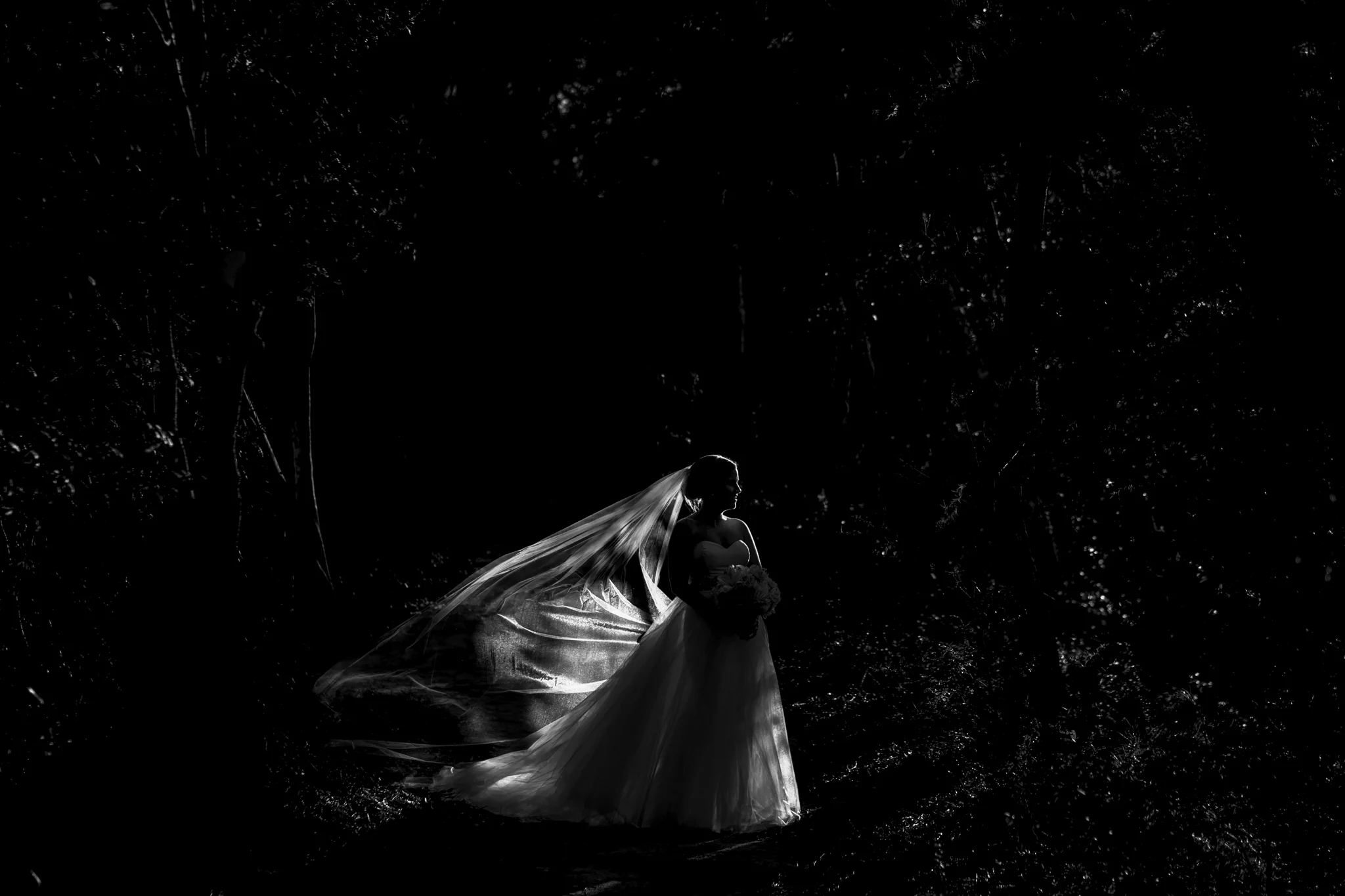 Megan & Tyler's amazing engagement session at Eno River Park and downtown Durham at the Tobacco Campus.