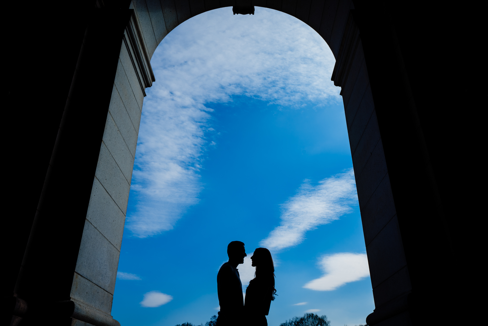 Laura-Darin-Washington-DC-Engagement-Cherry-Blossom-6.jpg