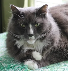 "Are there any Rules to the Readings?"