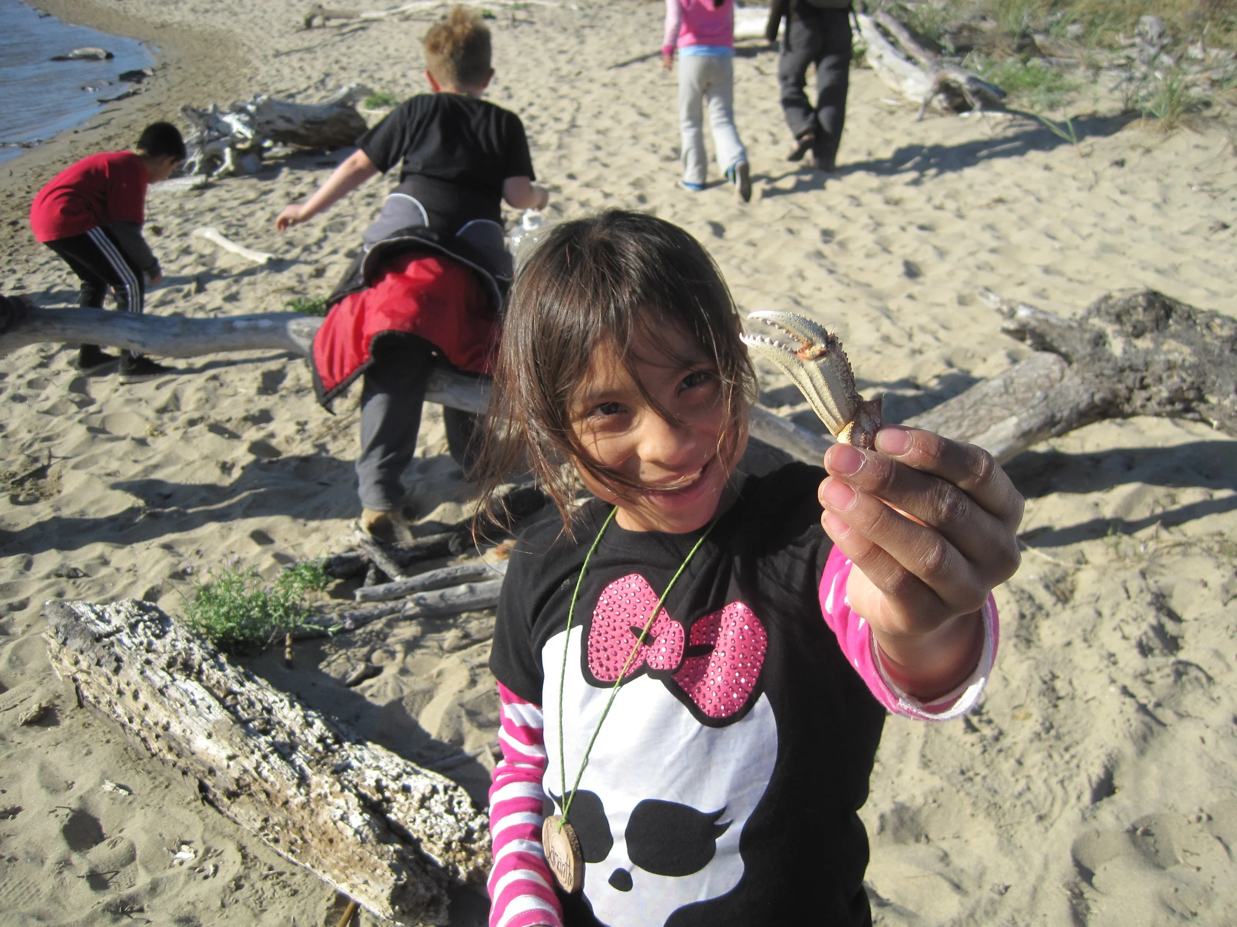 crab shell.jpg