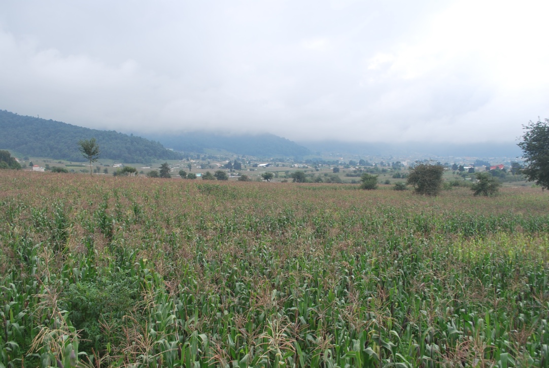 Rural Guatemala