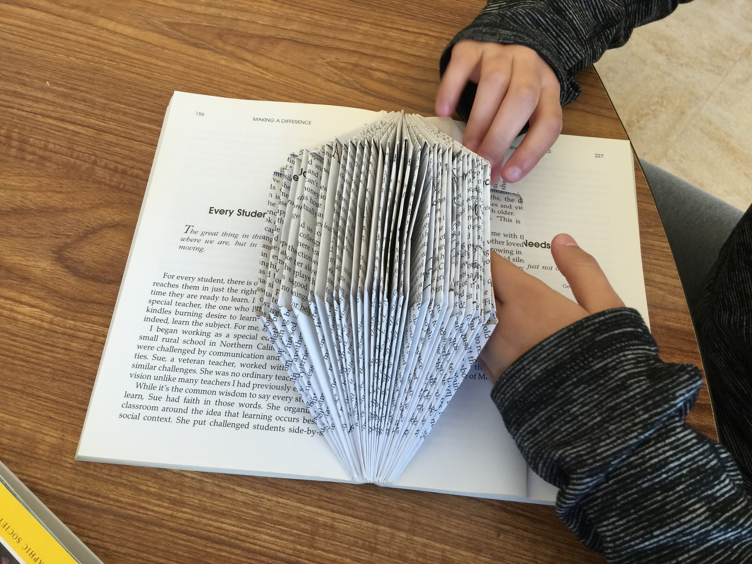Bacich Elementary, 4th Grade