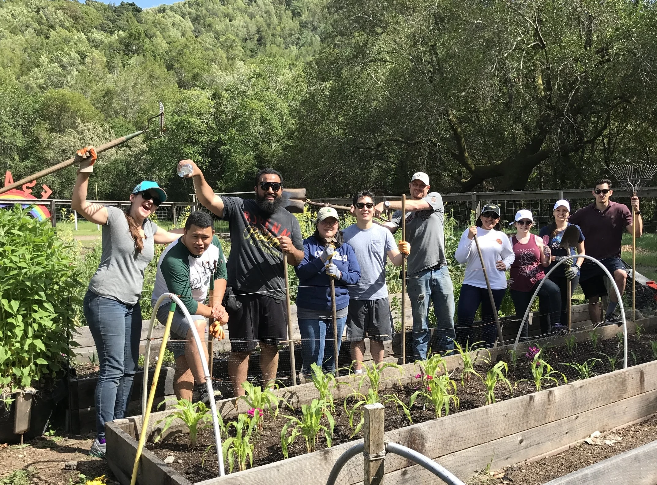 PaperSeed day volunteers pose for a picture after a productive afternoon at the fairfax-san anselmo children's center