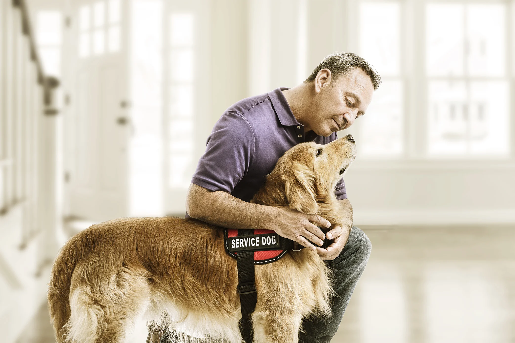 Service Dog Campaign