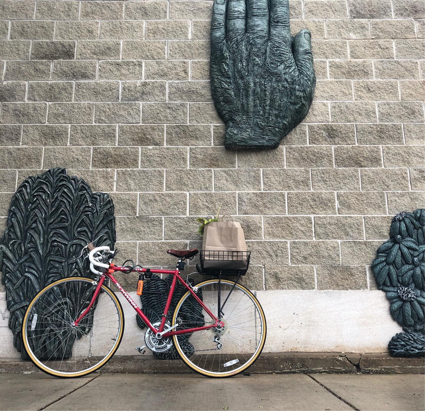 Bike Commuting + New Plant Babies  #chicago #schwinn #bikecommuting #plantbabies #citylife