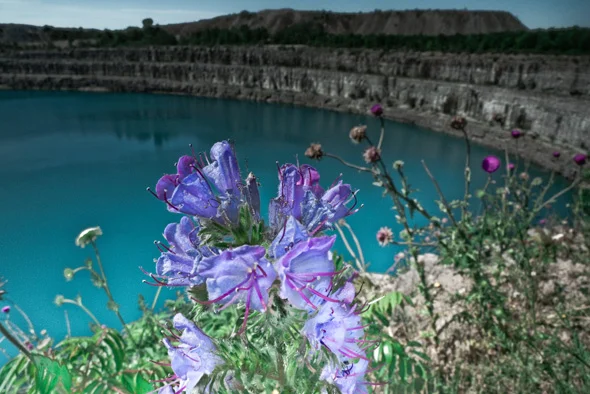 The Marmora Mine
