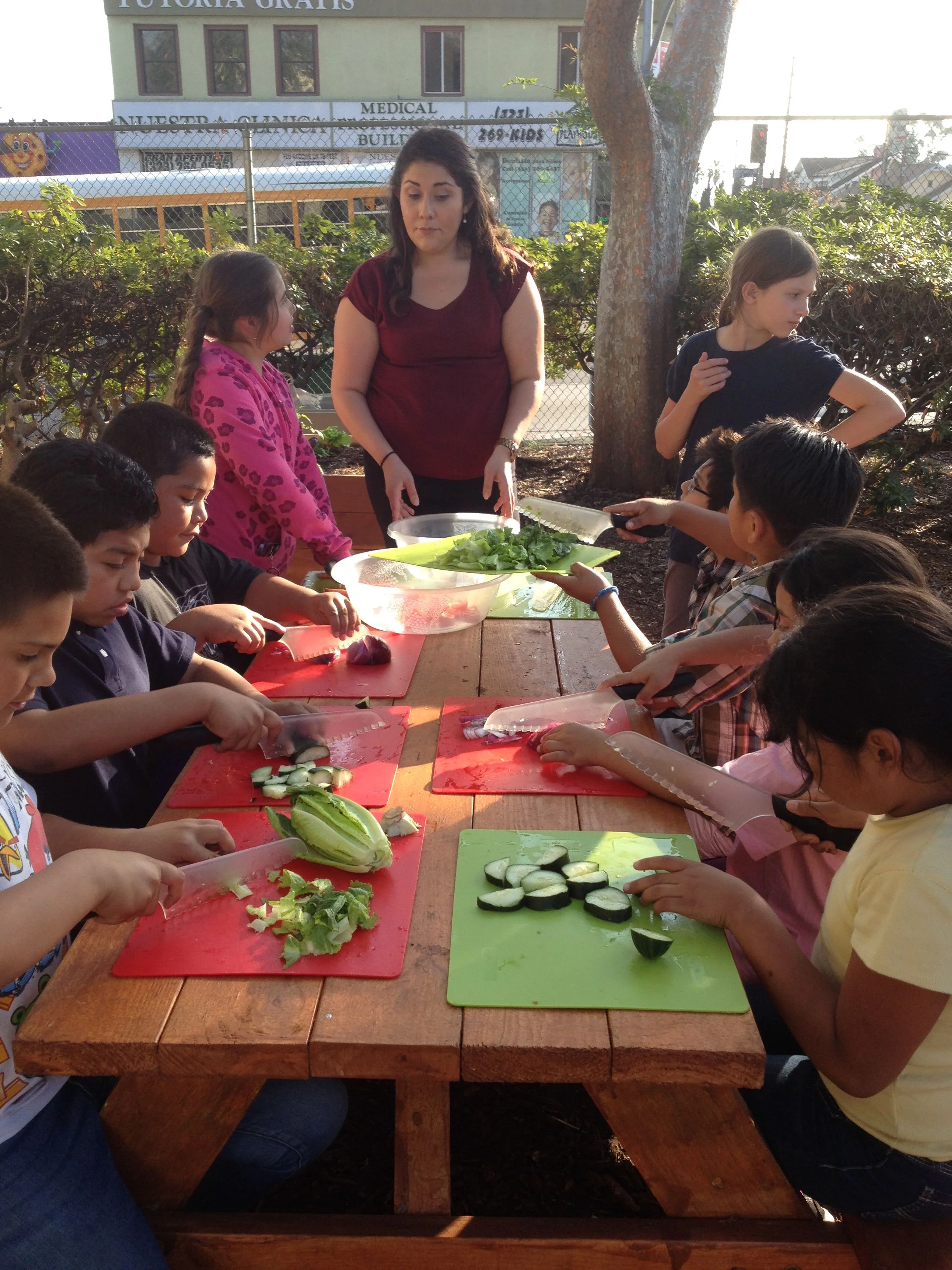 Food deserts: How Austin is Tackling the Problem