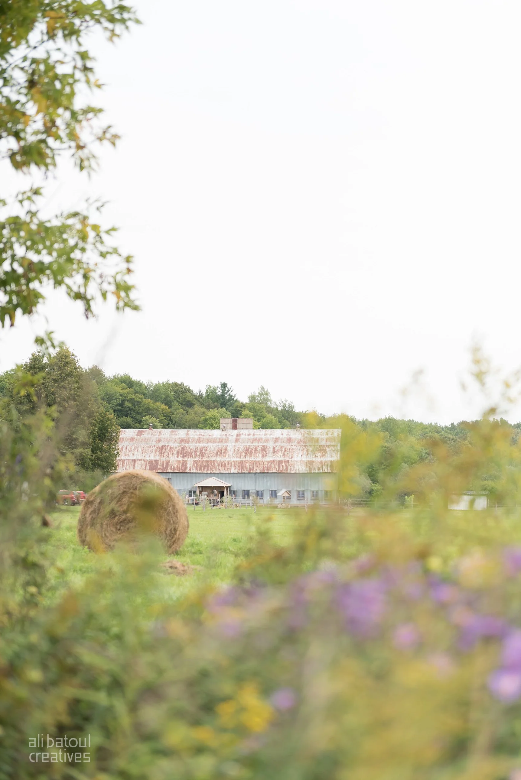 Samer + Brittany Barn Wedding - Ali Batoul Creatives (blog)-21_Stomped.jpg